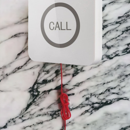 Toilet call button